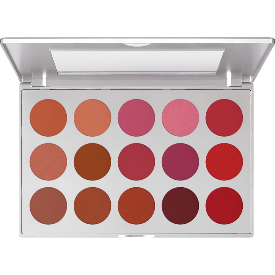 Professional Blusher Set 15 Colors